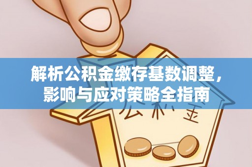 仁化解析公积金缴存基数调整，影响与应对策略全指南