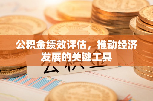 仁化公积金绩效评估，推动经济发展的关键工具