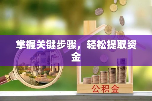 仁化掌握关键步骤，轻松提取资金