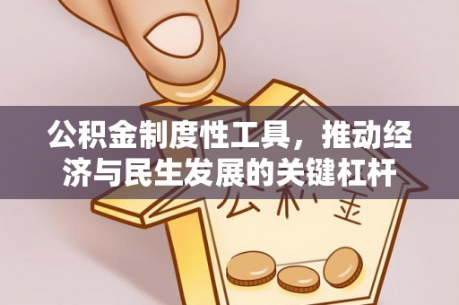 仁化公积金制度性工具，推动经济与民生发展的关键杠杆