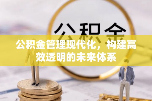 仁化公积金管理现代化，构建高效透明的未来体系