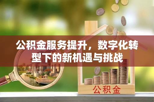 仁化公积金服务提升，数字化转型下的新机遇与挑战