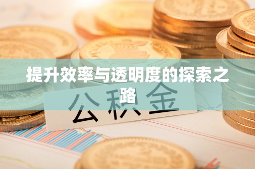 仁化提升效率与透明度的探索之路