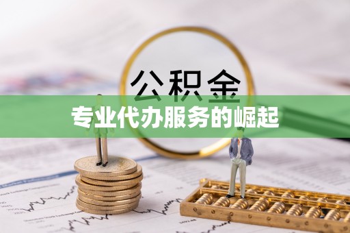 仁化专业代办服务的崛起