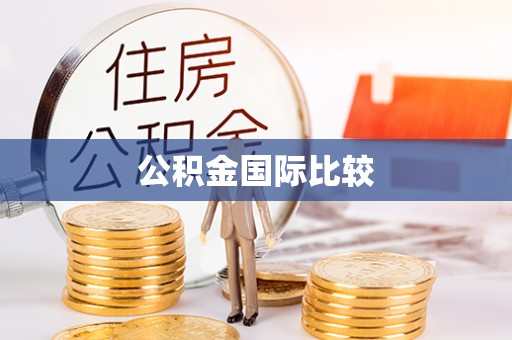 仁化公积金国际比较