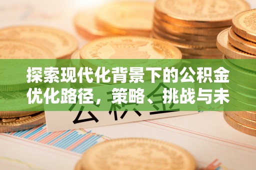 仁化探索现代化背景下的公积金优化路径，策略、挑战与未来展望