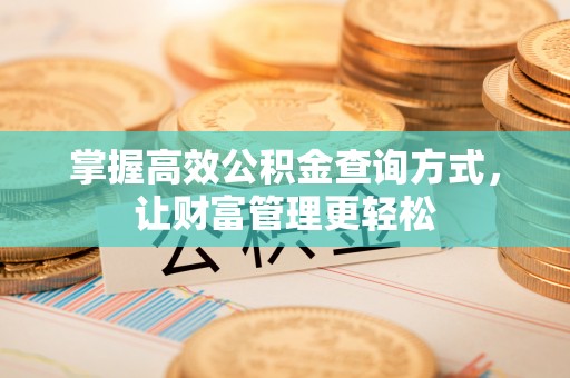 仁化掌握高效公积金查询方式，让财富管理更轻松