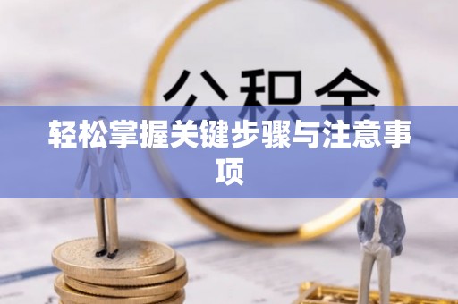 仁化轻松掌握关键步骤与注意事项