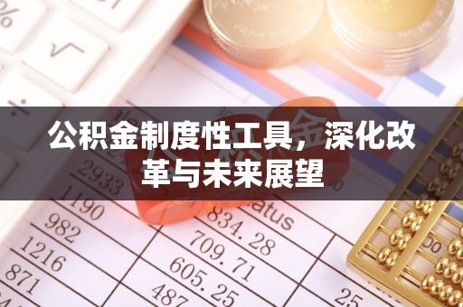 仁化公积金制度性工具，深化改革与未来展望