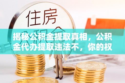 仁化揭秘公积金提取真相，公积金代办提取违法不，你的权益如何保障？