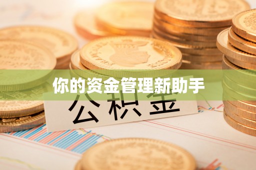 仁化你的资金管理新助手