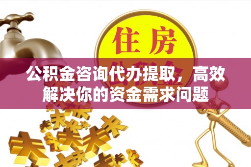 仁化公积金咨询代办提取，高效解决你的资金需求问题