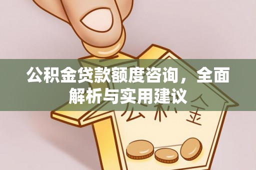 仁化公积金贷款额度咨询，全面解析与实用建议