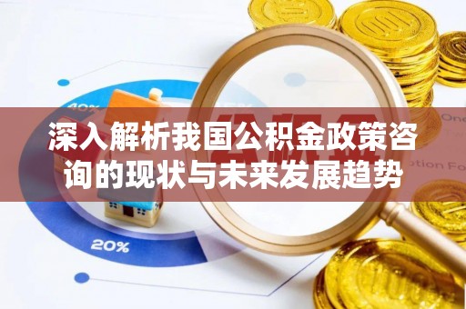 仁化深入解析我国公积金政策咨询的现状与未来发展趋势