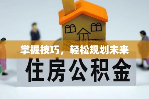 仁化掌握技巧，轻松规划未来