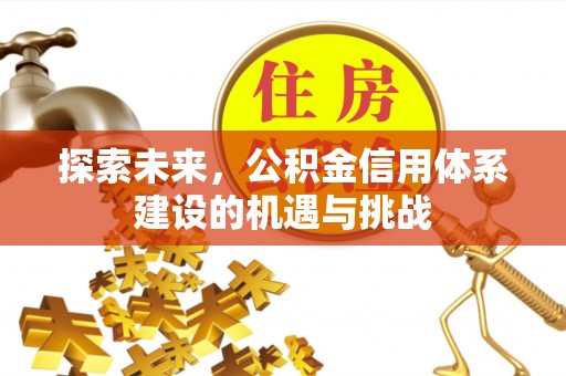 仁化探索未来，公积金信用体系建设的机遇与挑战