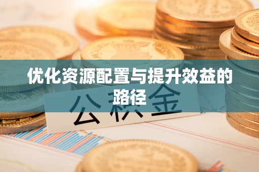 仁化优化资源配置与提升效益的路径