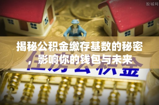 仁化揭秘公积金缴存基数的秘密，影响你的钱包与未来