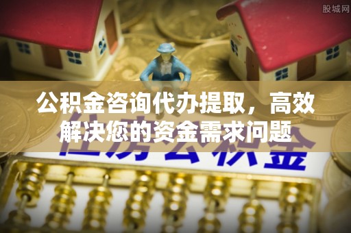 仁化公积金咨询代办提取，高效解决您的资金需求问题