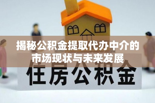 仁化揭秘公积金提取代办中介的市场现状与未来发展