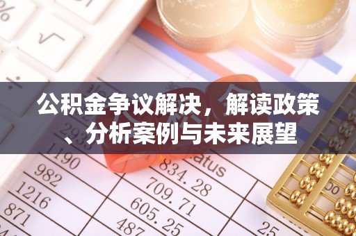 仁化公积金争议解决，解读政策、分析案例与未来展望
