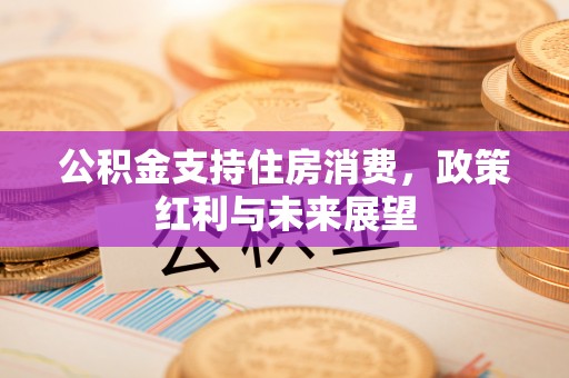仁化公积金支持住房消费，政策红利与未来展望