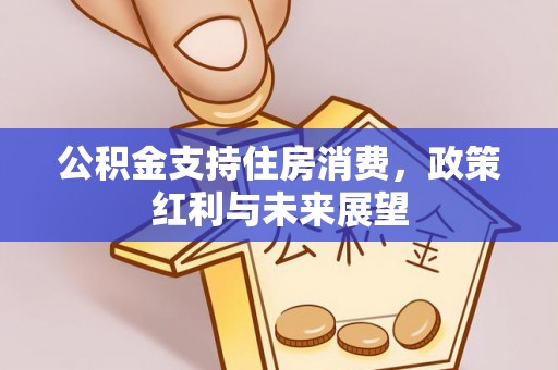 仁化公积金支持住房消费，政策红利与未来展望