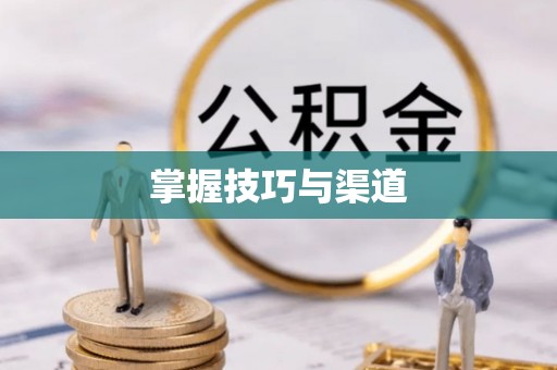 仁化掌握技巧与渠道