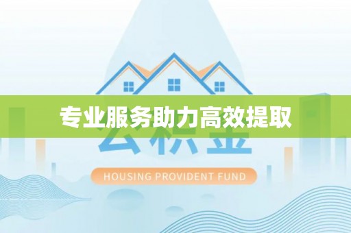 仁化专业服务助力高效提取
