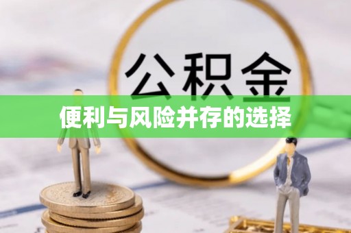 仁化便利与风险并存的选择