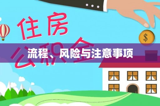 仁化流程、风险与注意事项