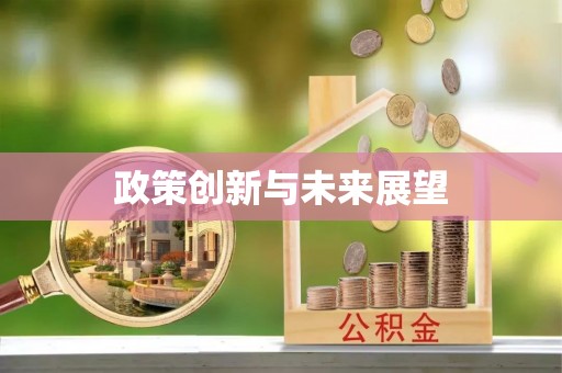 仁化政策创新与未来展望