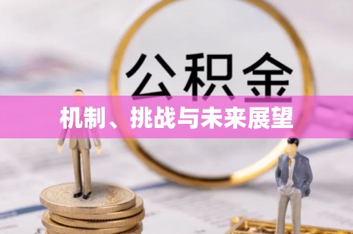 仁化机制、挑战与未来展望